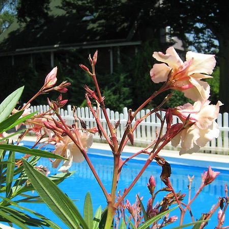 Guest House Westwood Kraljevec Kupinecki Rum bild