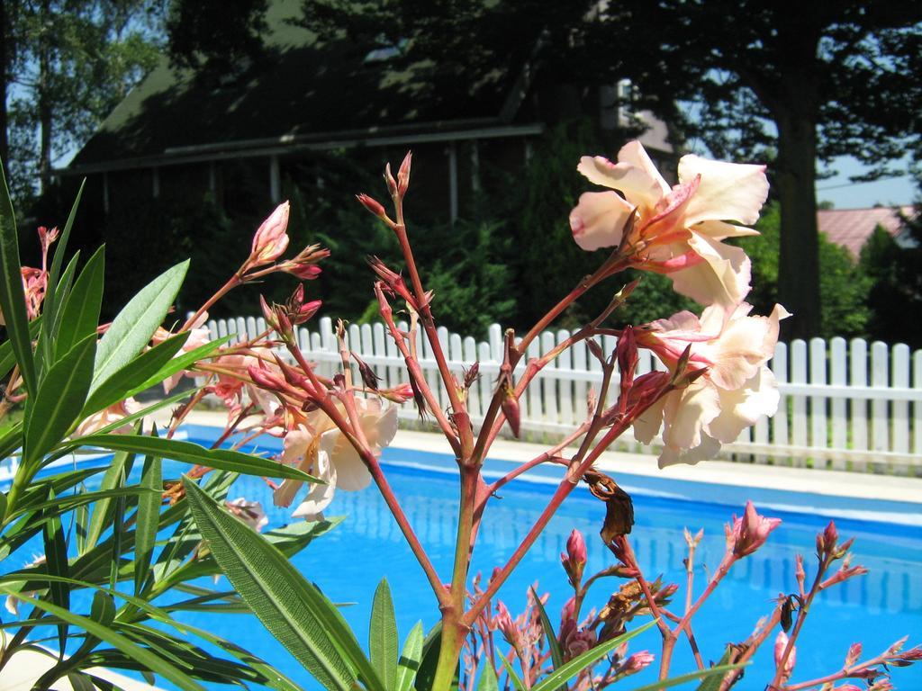 Guest House Westwood Kraljevec Kupinecki Rum bild